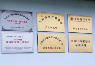 青浦區(qū)水產(chǎn)站積極推進(jìn)全國水產(chǎn)綠色健康養(yǎng)殖技術(shù)推廣“五大行動(dòng)”骨干基地認(rèn)定工作