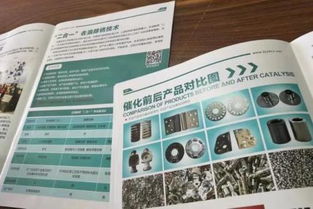 環(huán)保專利技術(shù)轉(zhuǎn)讓之困 ?；煞峙浞綘幾h與近百廠家投產(chǎn)失敗引發(fā)的思考